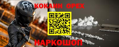 a pvp Новозыбков