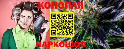 a pvp Новозыбков