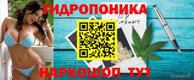 a pvp Новозыбков