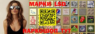 a pvp Новозыбков