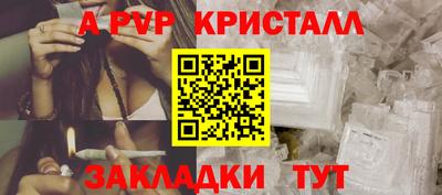 a pvp Новозыбков