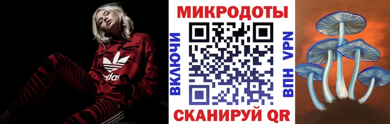 Галлюциногенные грибы Cubensis мориарти официальный сайт Тамбов где можно купить наркотик