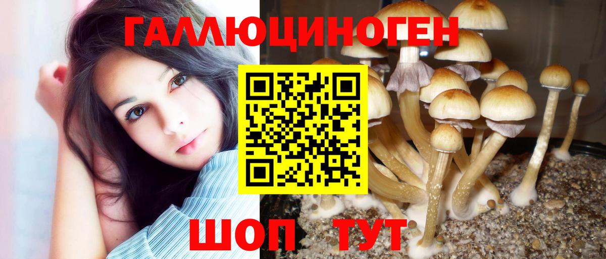 Псилоцибиновые грибы мицелий Тамбов